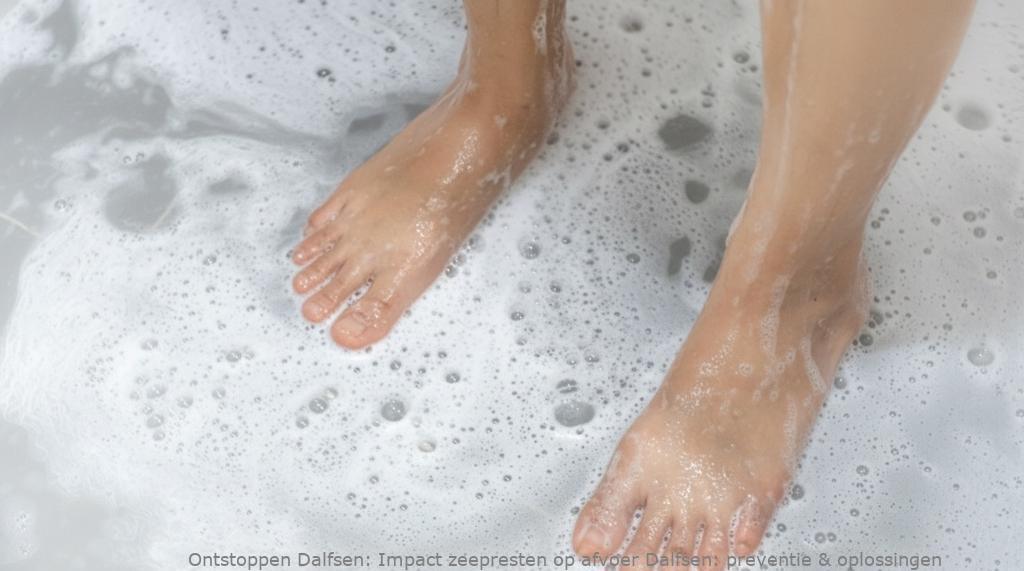 Impact zeepresten op afvoer Dalfsen: preventie & oplossingen