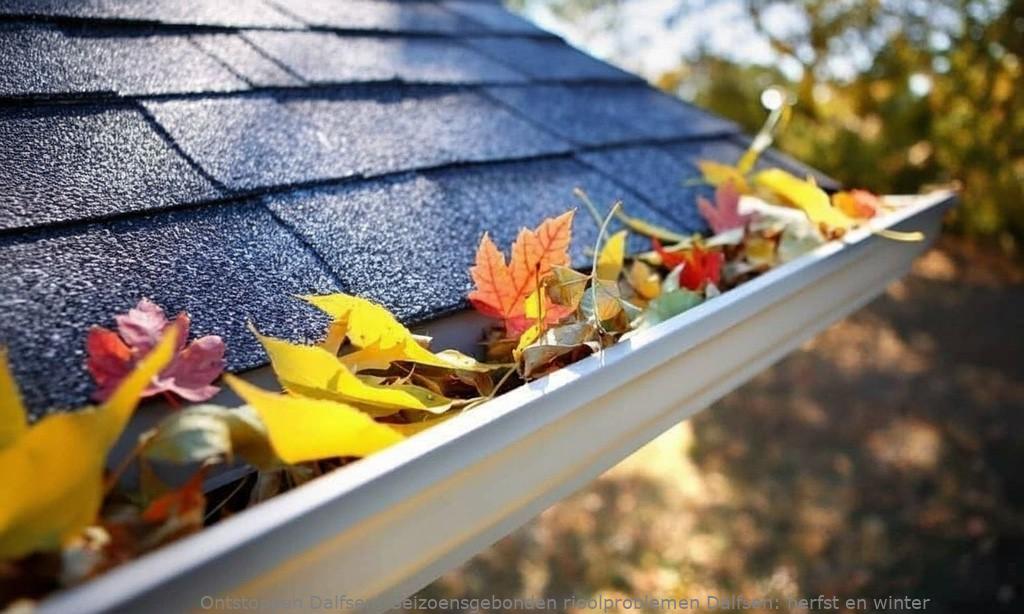 Seizoensgebonden rioolproblemen Dalfsen: herfst en winter